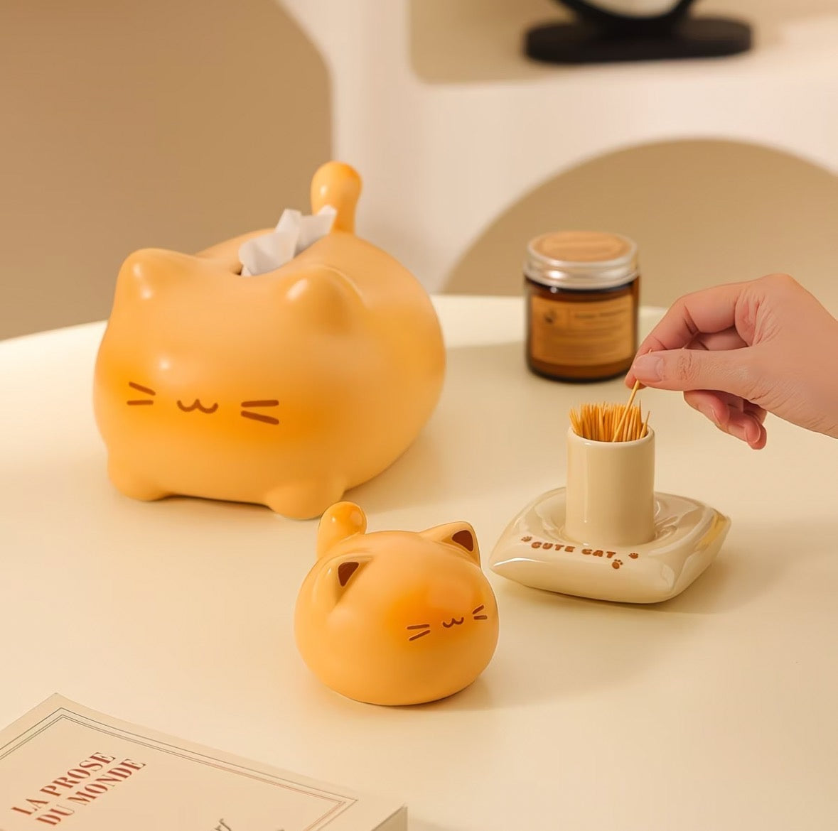 Country Cat Ceramic Tissue Box